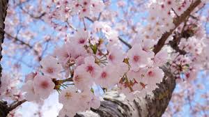 新しい出会い♪