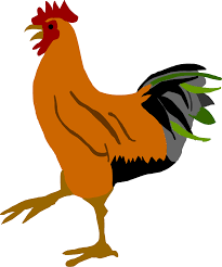 とりむね肉について♪